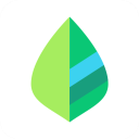 薄荷记账app下载 v11.6.0最新版